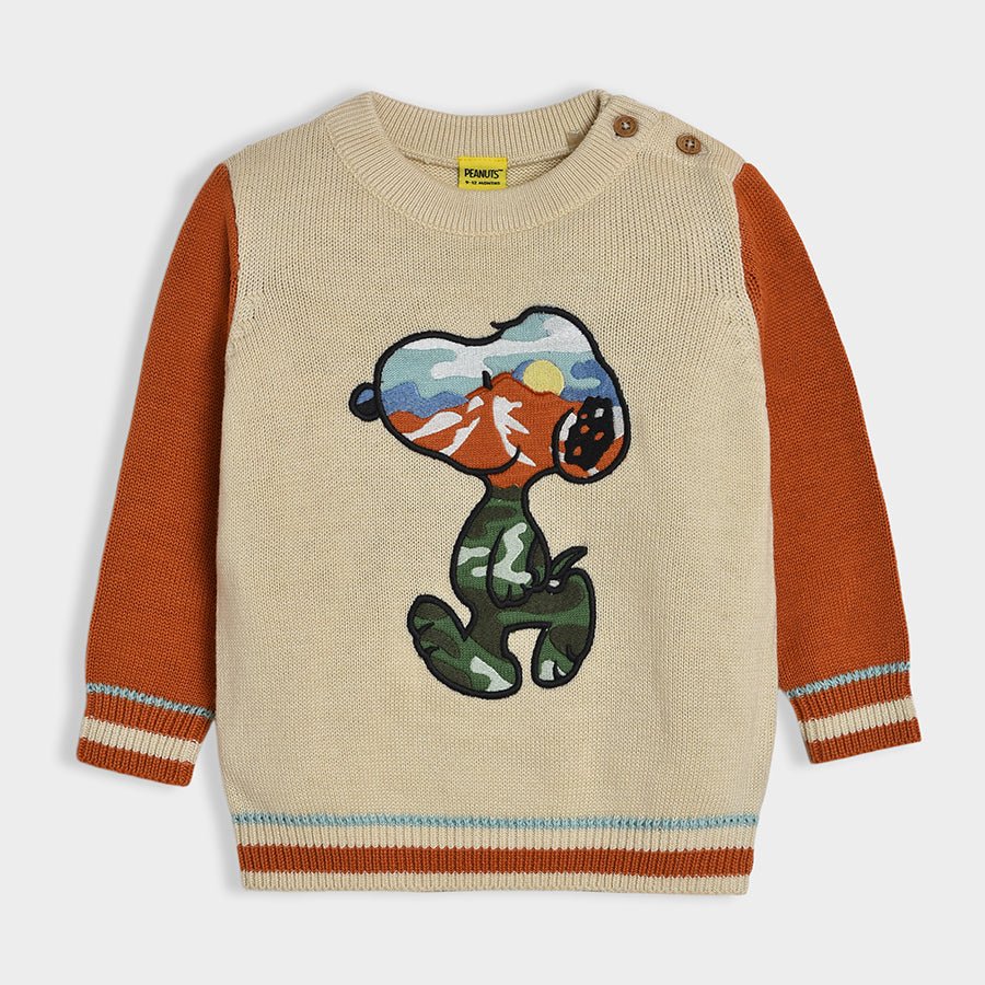 Peanuts Snoopy Embroidered Pattern Sienna Sweater