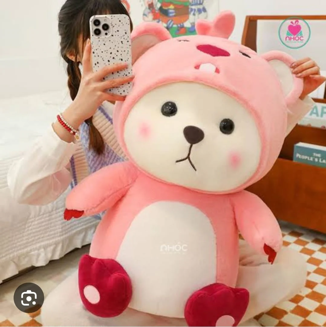 Pink Hoodie Teddy – 45cm Soft Plush with Full Removable Hoodie