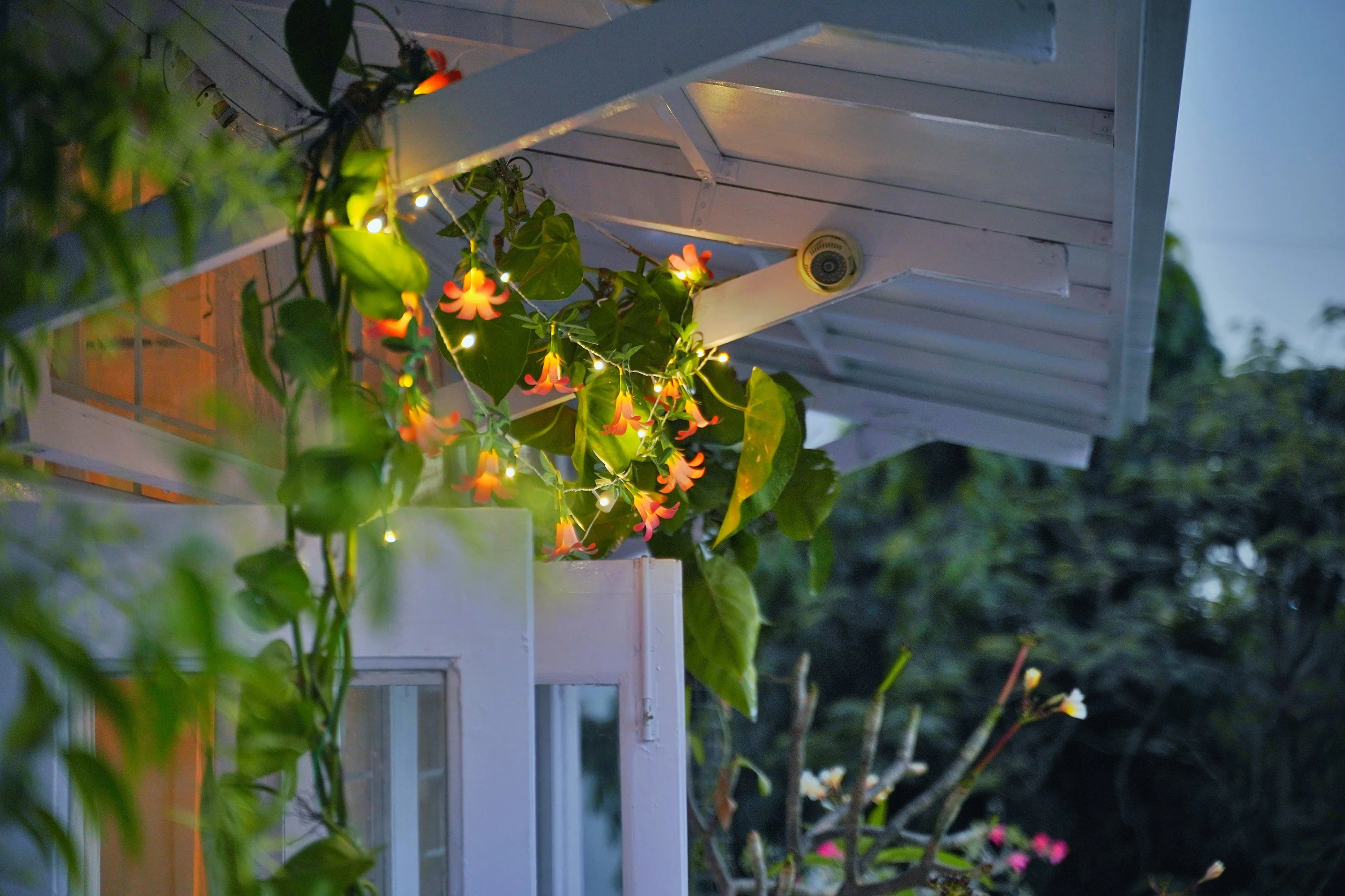 Pink Paper Flower Fairy Lights (12 flowers) - Image 17