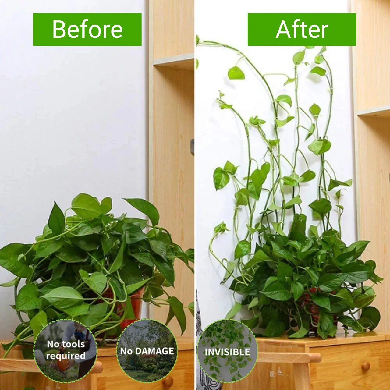 Plant Clips for Climbing Plants - Image 7
