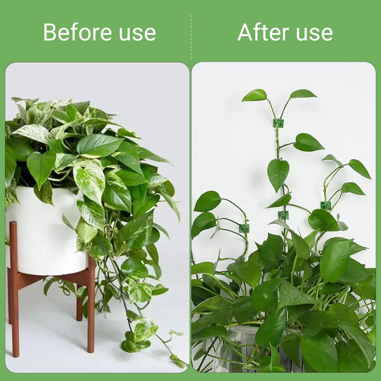 Plant Clips for Climbing Plants - Image 5