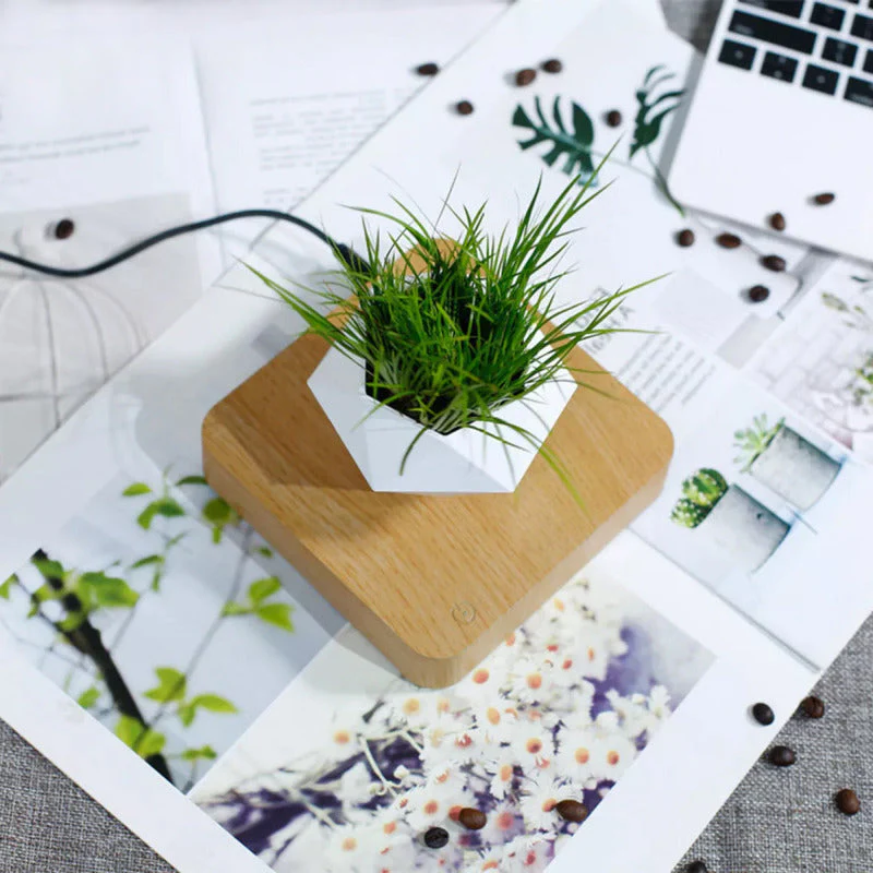 Potzi: Magnetic Levitating Bonsai Planter with Rotating Floating Pot & Wooden Base, Geometric Indoor Decor for Air Plants & Minimalist Homes - Image 3