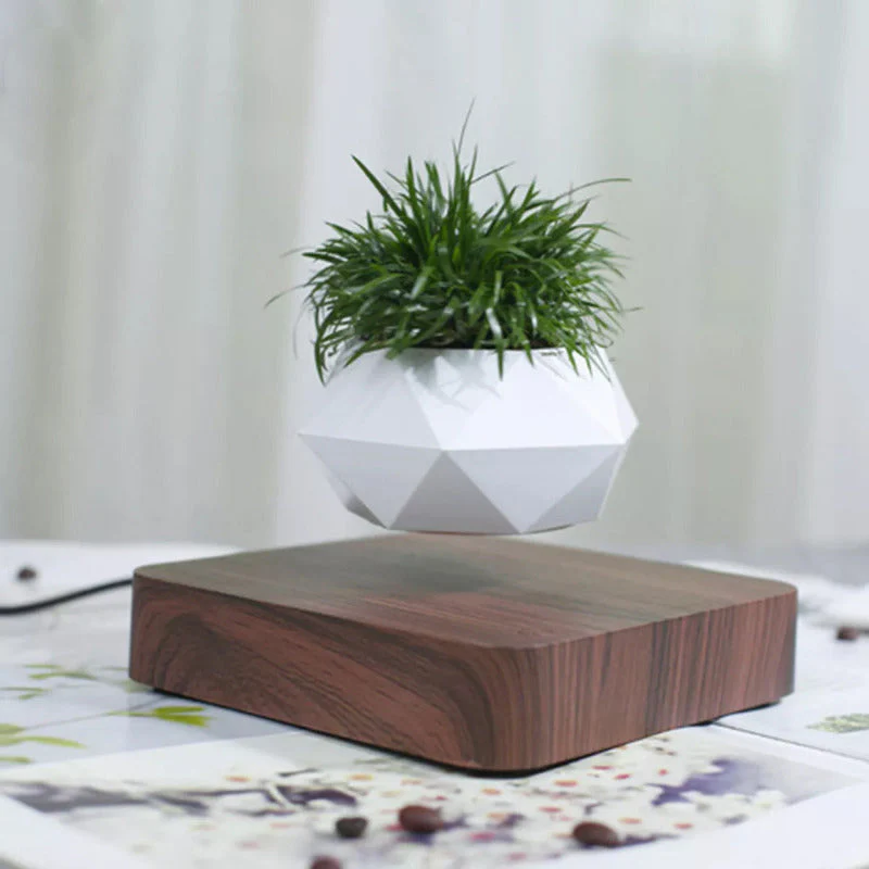 Potzi: Magnetic Levitating Bonsai Planter with Rotating Floating Pot & Wooden Base, Geometric Indoor Decor for Air Plants & Minimalist Homes - Image 4