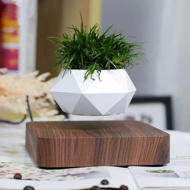 Potzi: Magnetic Levitating Bonsai Planter with Rotating Floating Pot & Wooden Base, Geometric Indoor Decor for Air Plants & Minimalist Homes - Image 5
