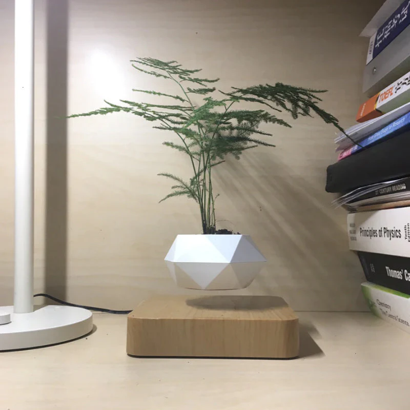 Potzi: Magnetic Levitating Bonsai Planter with Rotating Floating Pot & Wooden Base, Geometric Indoor Decor for Air Plants & Minimalist Homes - Image 6