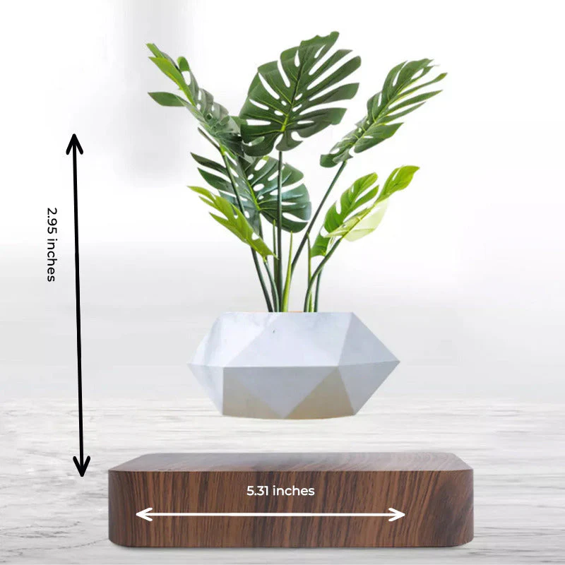 Potzi: Magnetic Levitating Bonsai Planter with Rotating Floating Pot & Wooden Base, Geometric Indoor Decor for Air Plants & Minimalist Homes - Image 7