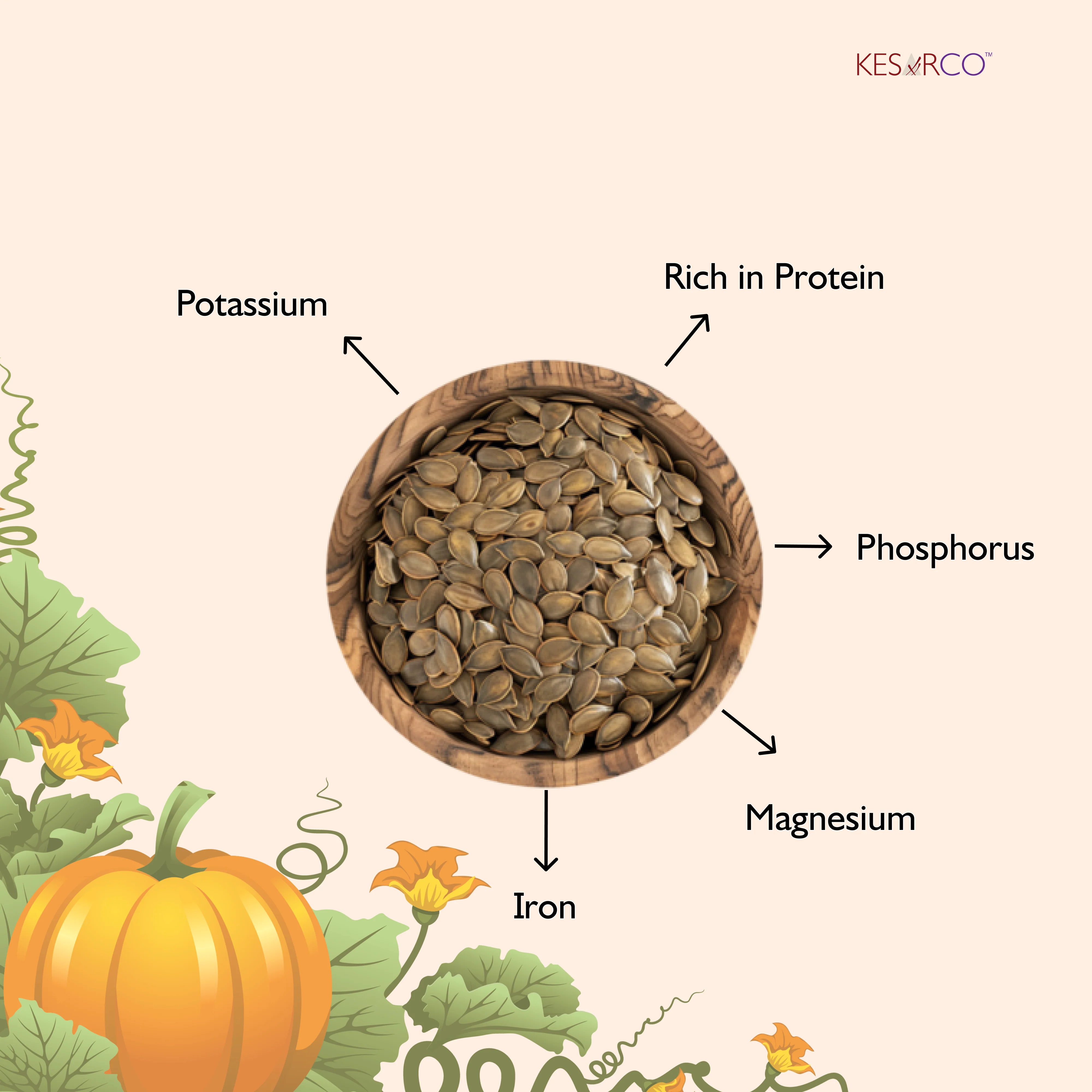 Pumpkin Seeds - Image 4