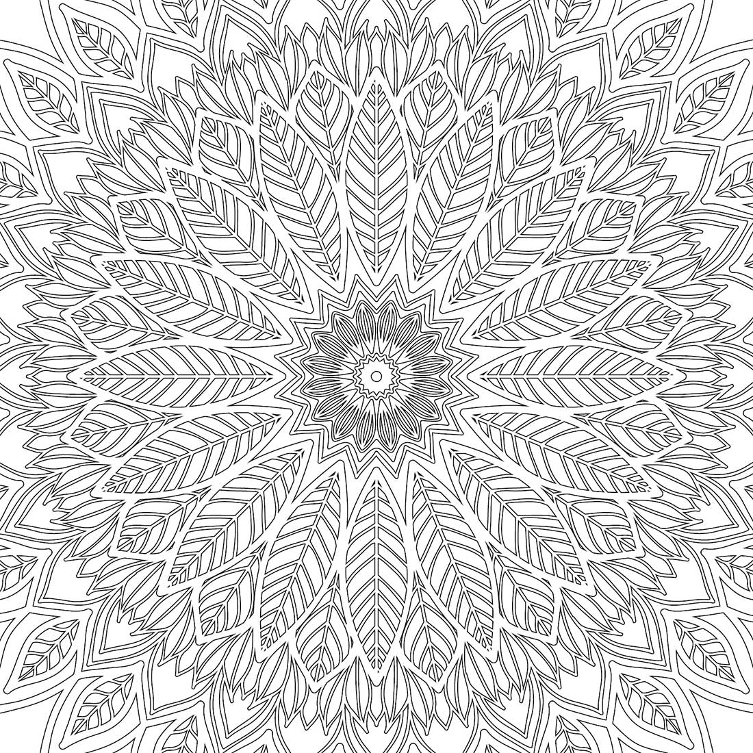Refreshing Mandala- Colouring Book for Adults Book 2 - Image 4