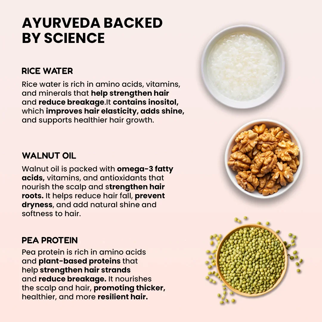 Rice Water Shampoo | For Strong, Shiny & Nourished Hair | 200 ml - Image 2