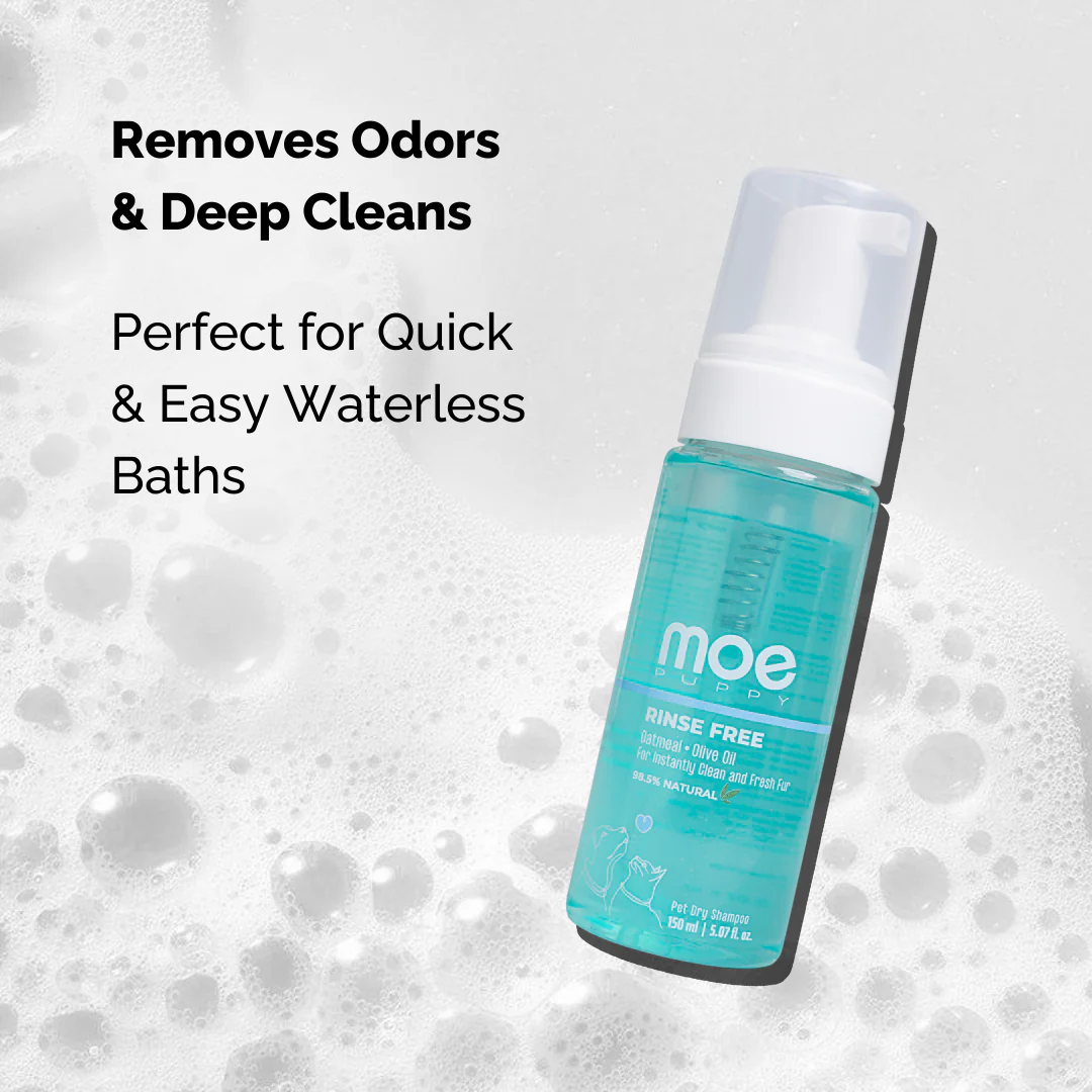 Rinse Free - Dry Shampoo for Dogs & Cats - Image 2