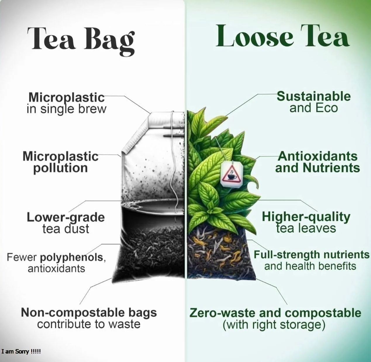Rose Tea - Image 3