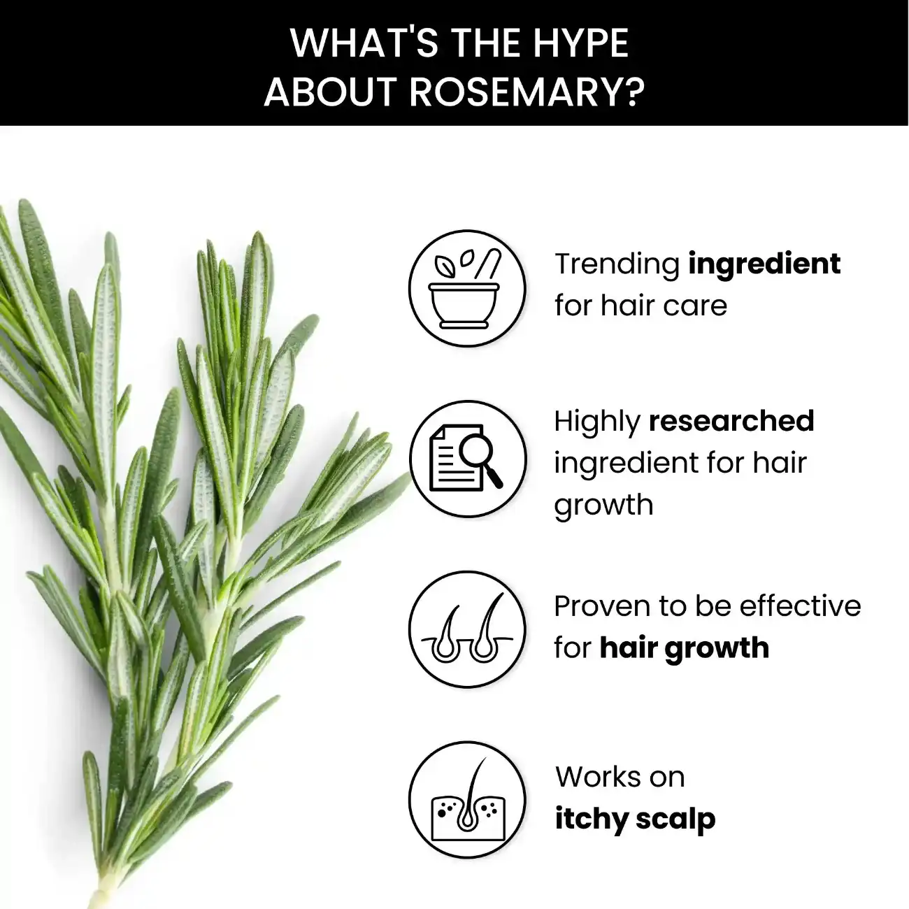 Rosemary Kit: Rosemary Shampoo(250ml), Conditioner (250ml) & Rosemary Essential Oil (15ml) Combo - Image 4