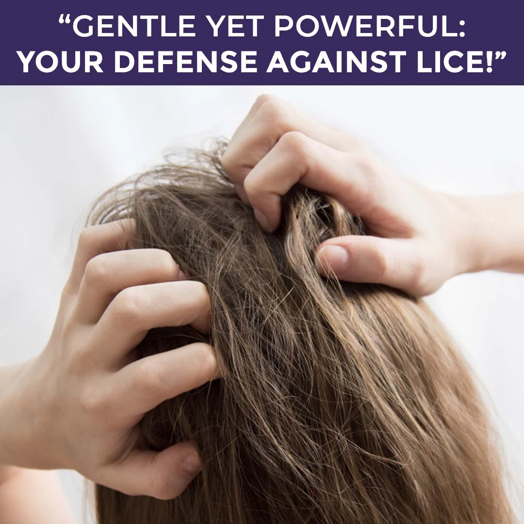 Sanfe Anti Lice and Dandruff Shampoo - Image 2