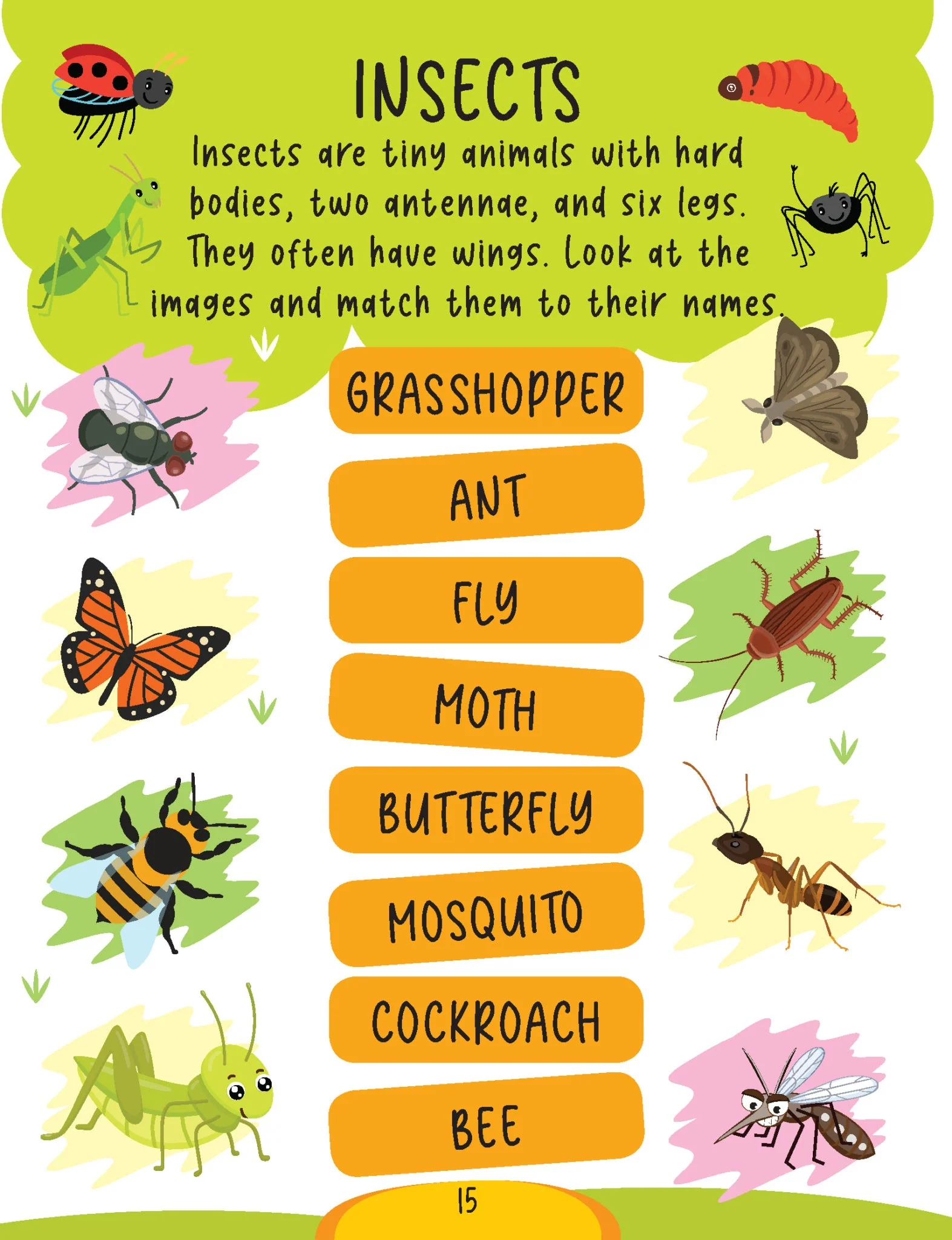 Science Activity Book Age 5+ - Image 7