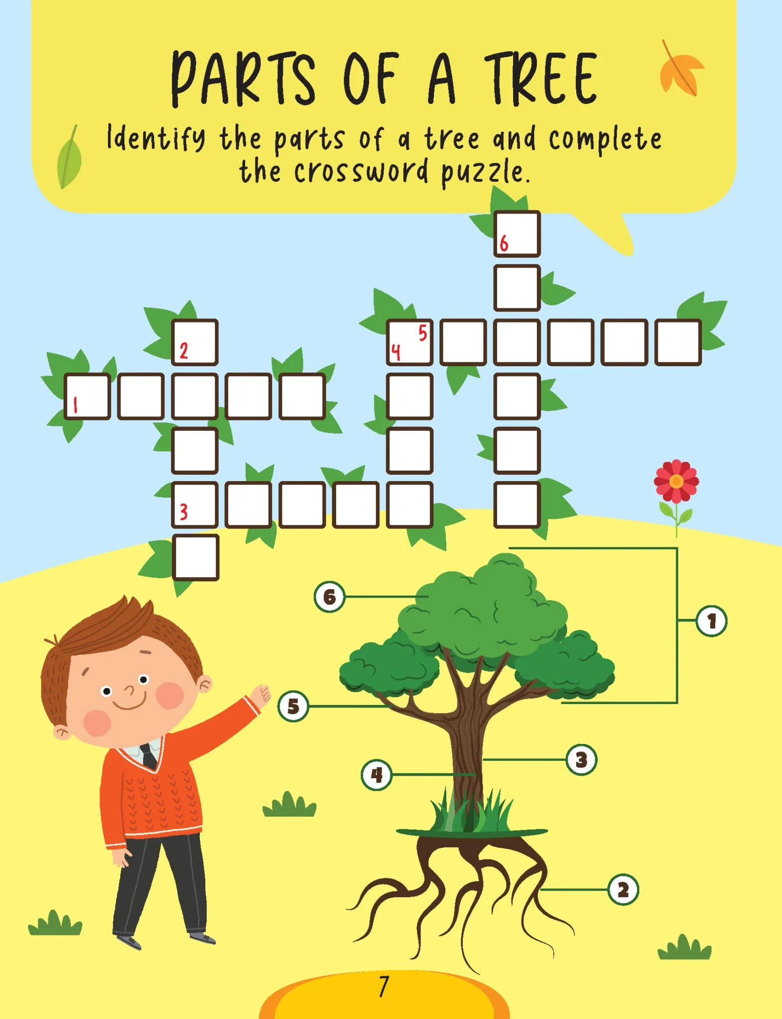 Science Activity Book Age 5+ - Image 8