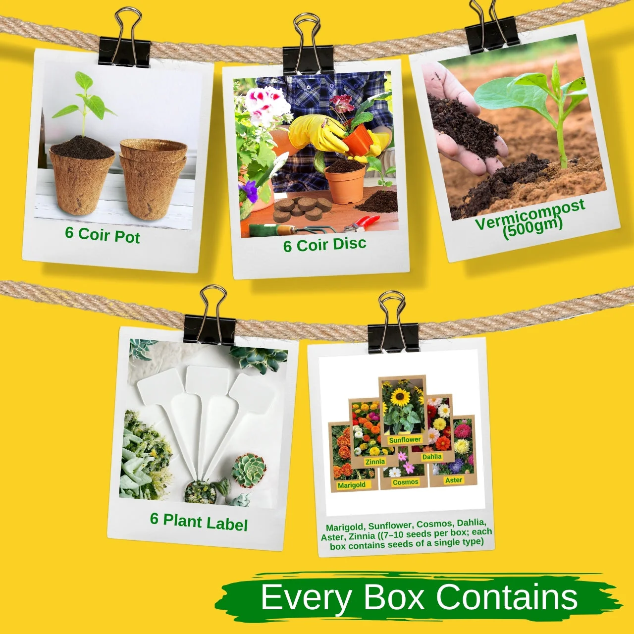 Seasonal DIY Flower Grow Kit - Image 2