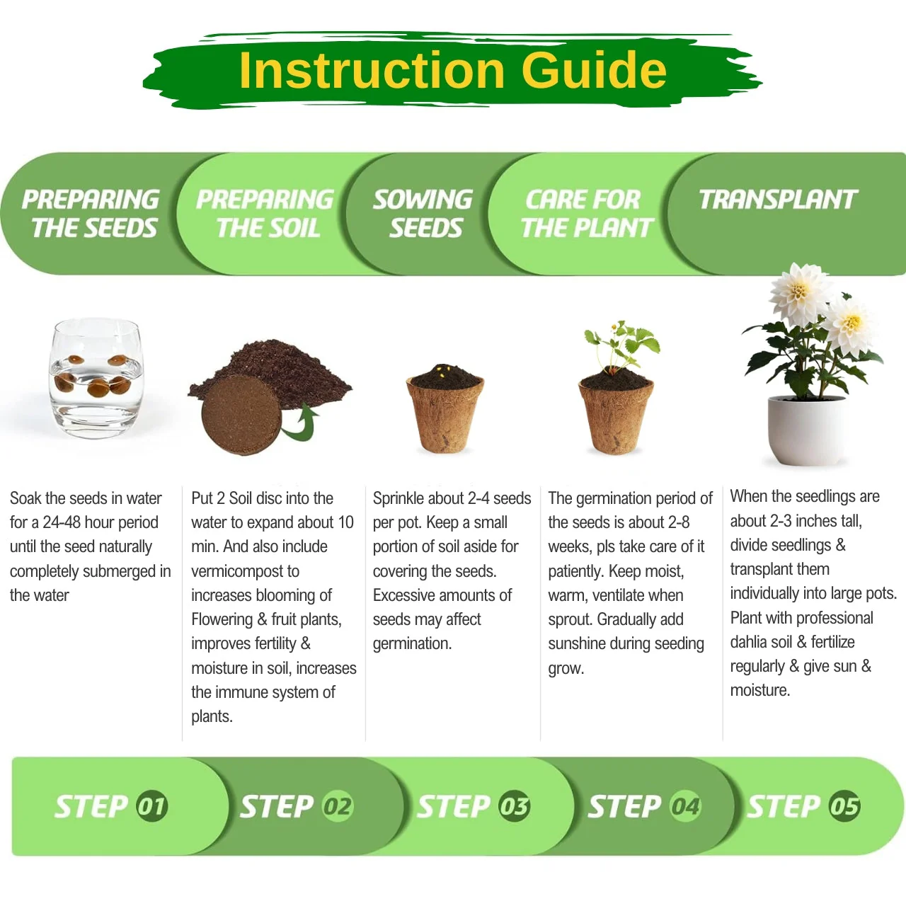 Seasonal DIY Flower Grow Kit - Image 3
