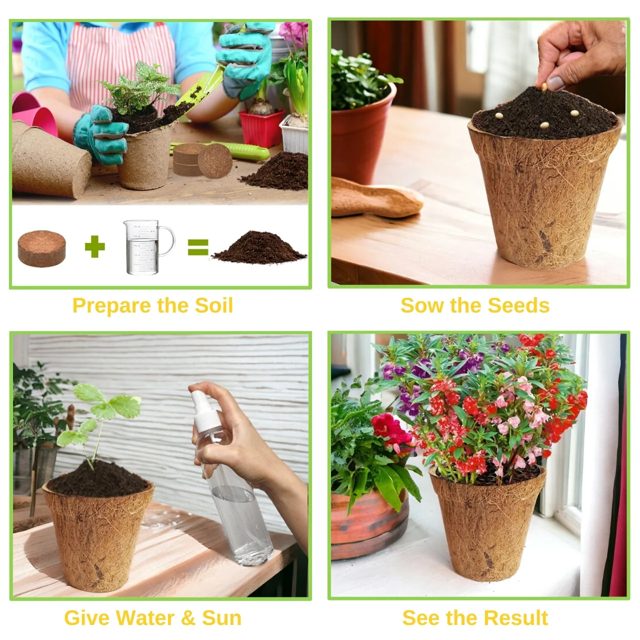 Seasonal DIY Flower Grow Kit - Image 4