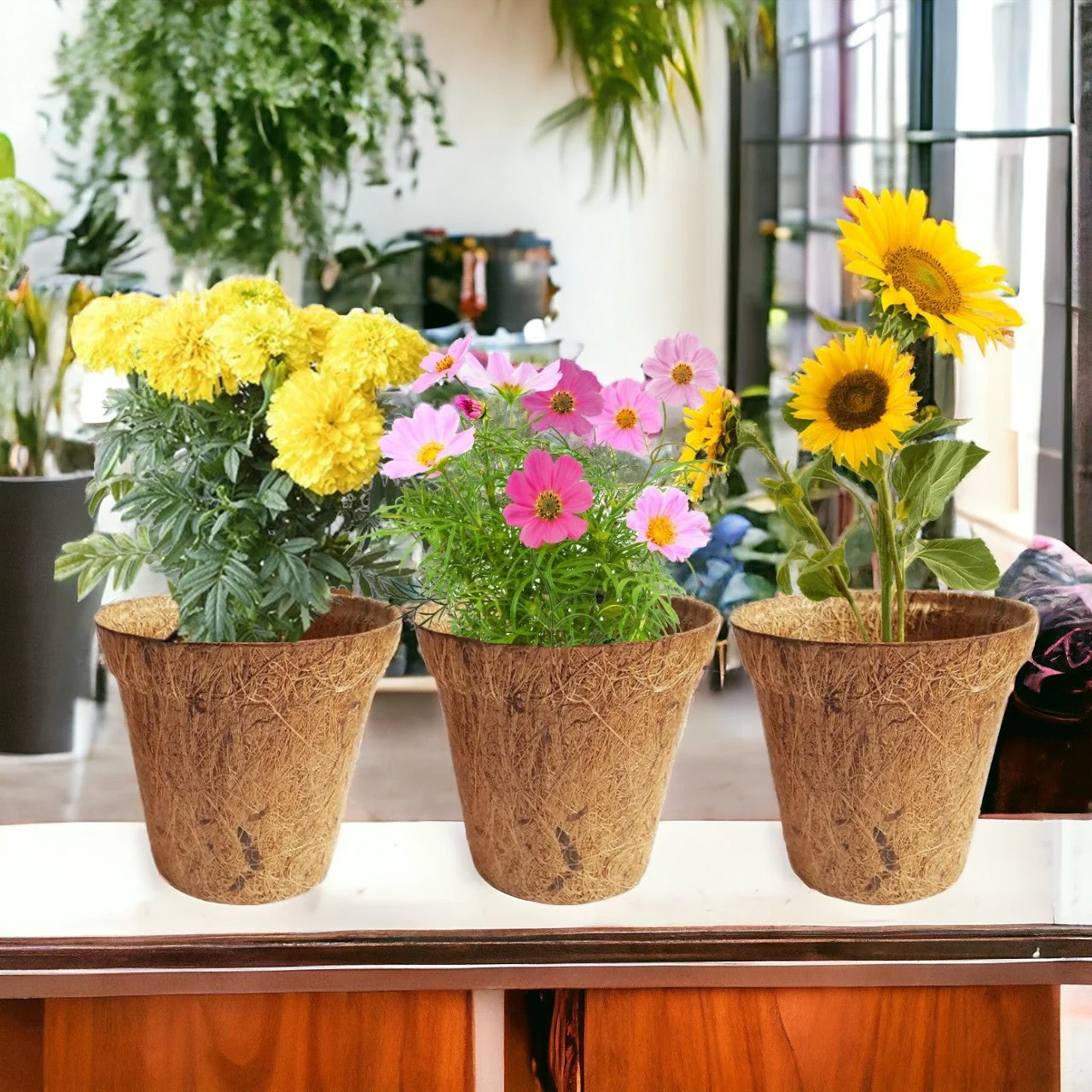 Seasonal DIY Flower Grow Kit - Image 7