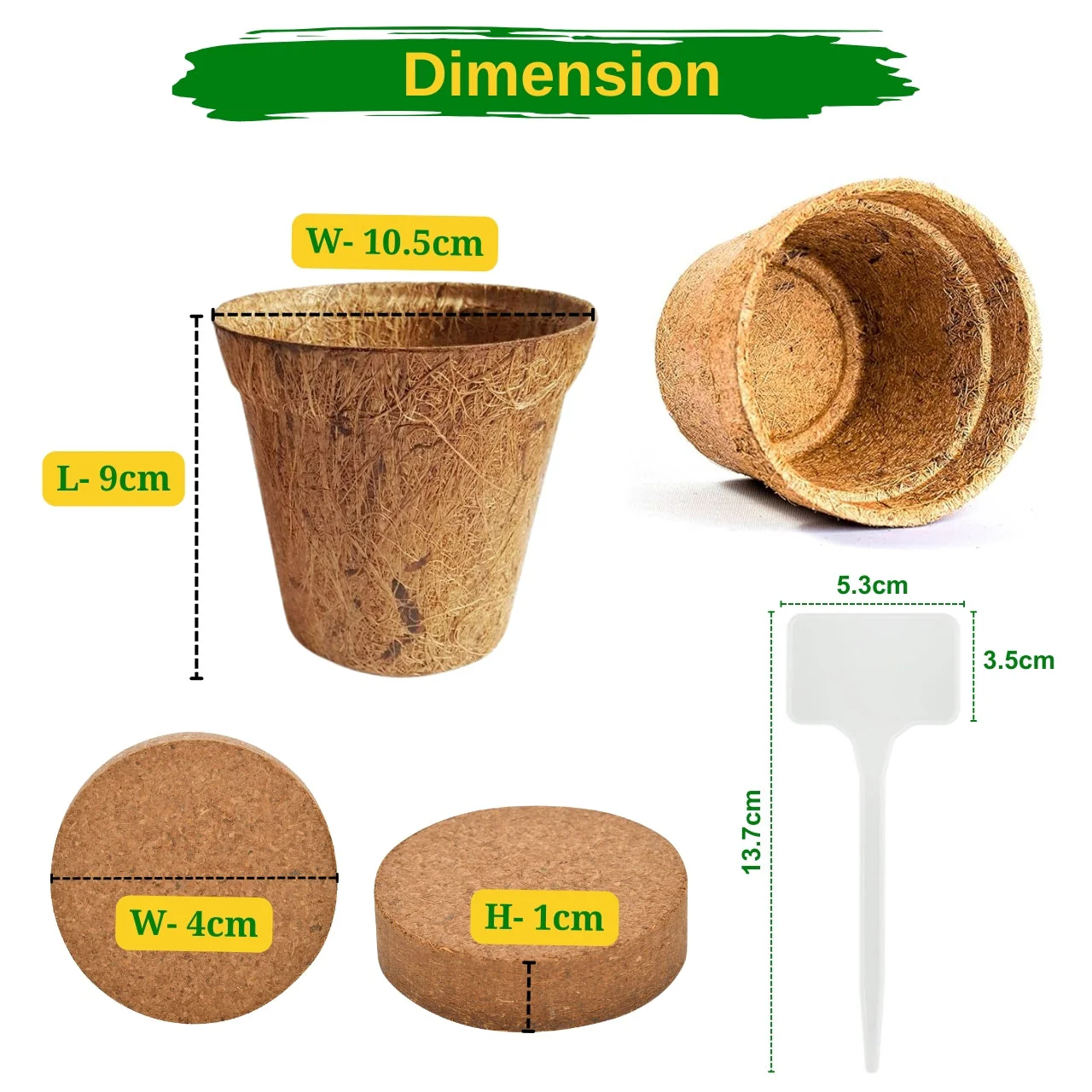 Seasonal DIY Vegetable Grow Kit - Image 5