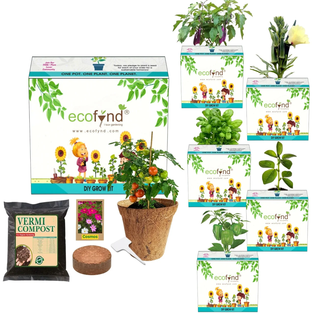 Seasonal DIY Vegetable Grow Kit
