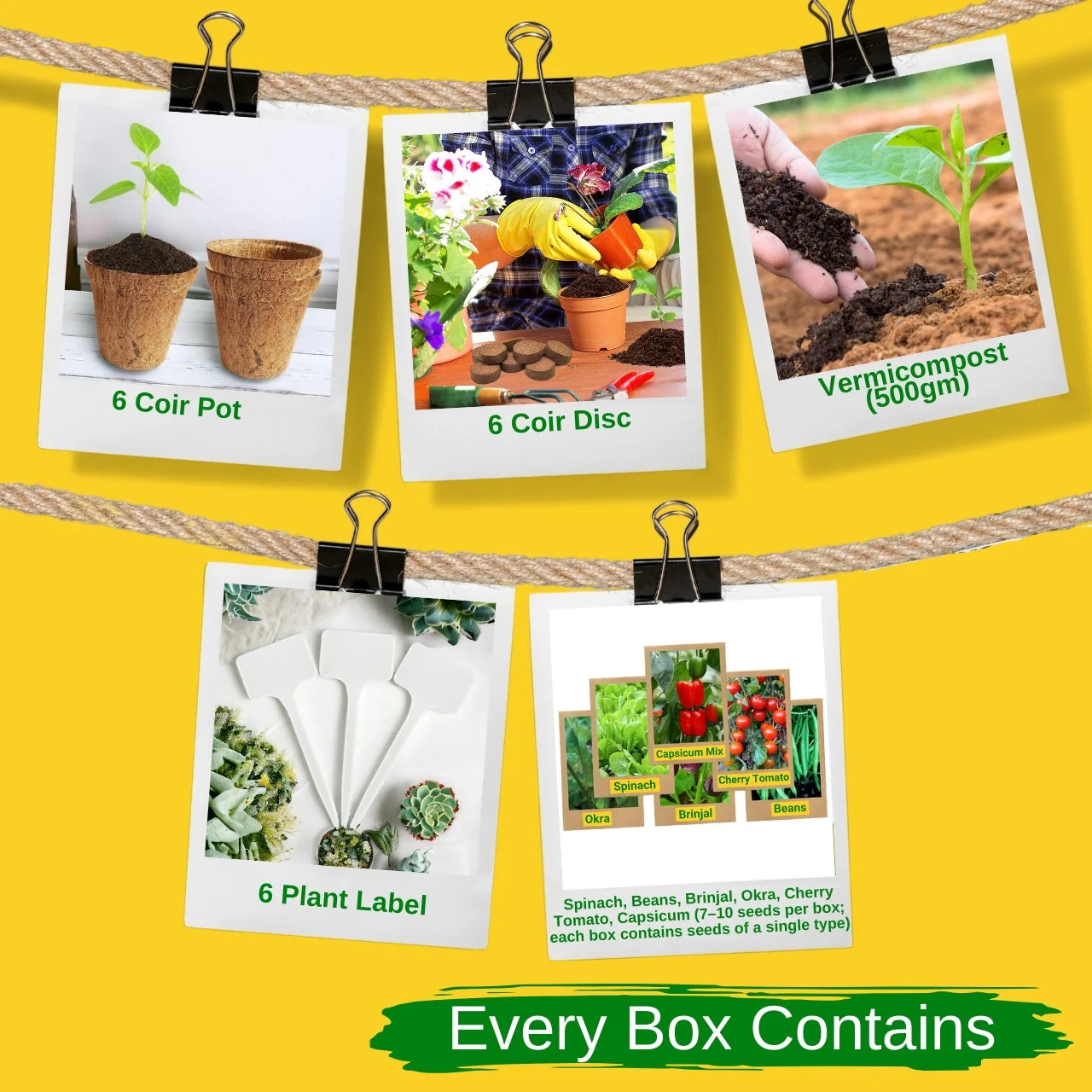 Seasonal DIY Vegetable Grow Kit - Image 2