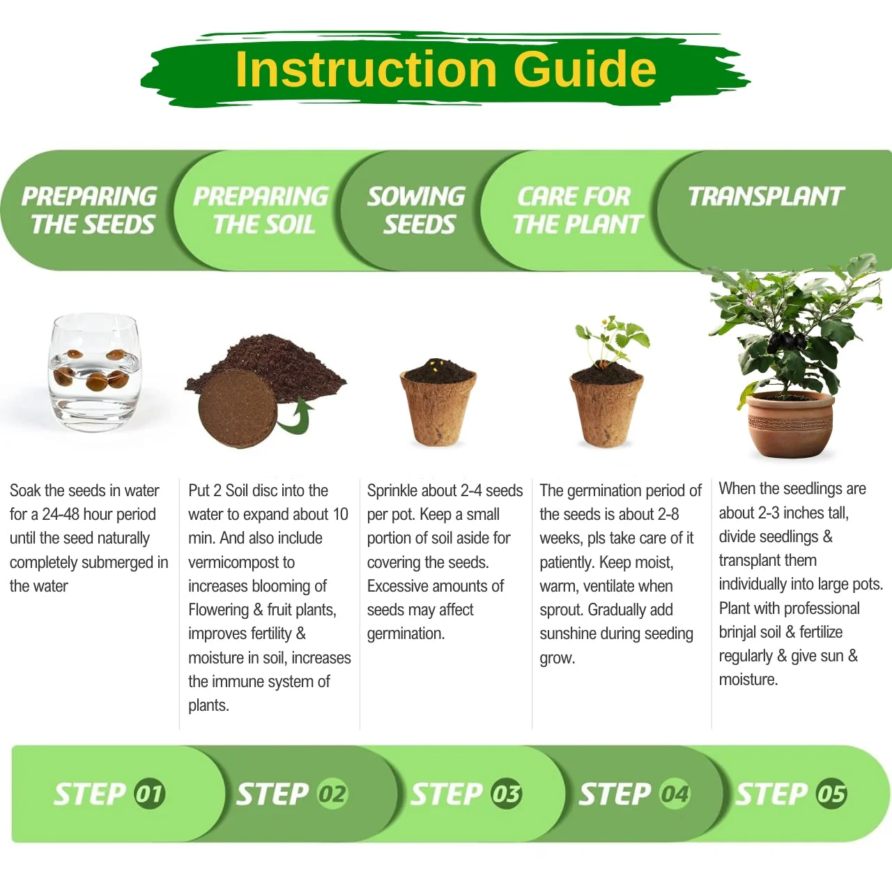 Seasonal DIY Vegetable Grow Kit - Image 3