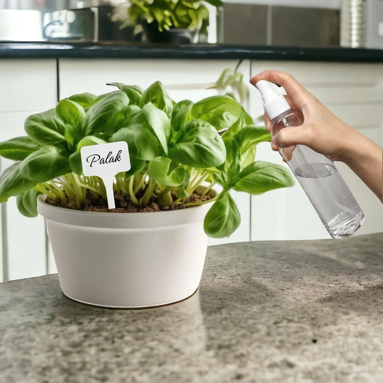 Seasonal DIY Vegetable Grow Kit - Image 6