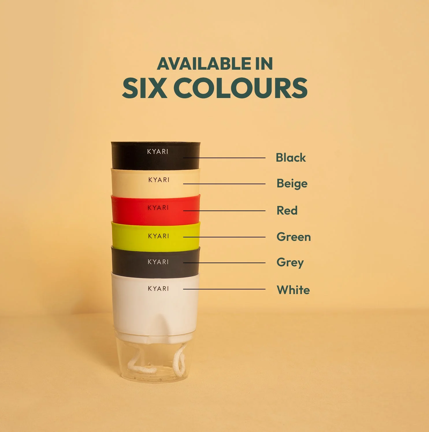 Set of 4 - ZZ - Zamia Green & Golden Money & Lucky Jade & Spider Plant - Image 7
