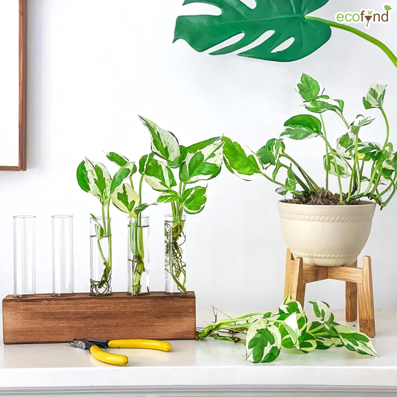 Set of 5 Test Tube Planter with Wooden Base Holder - Image 3