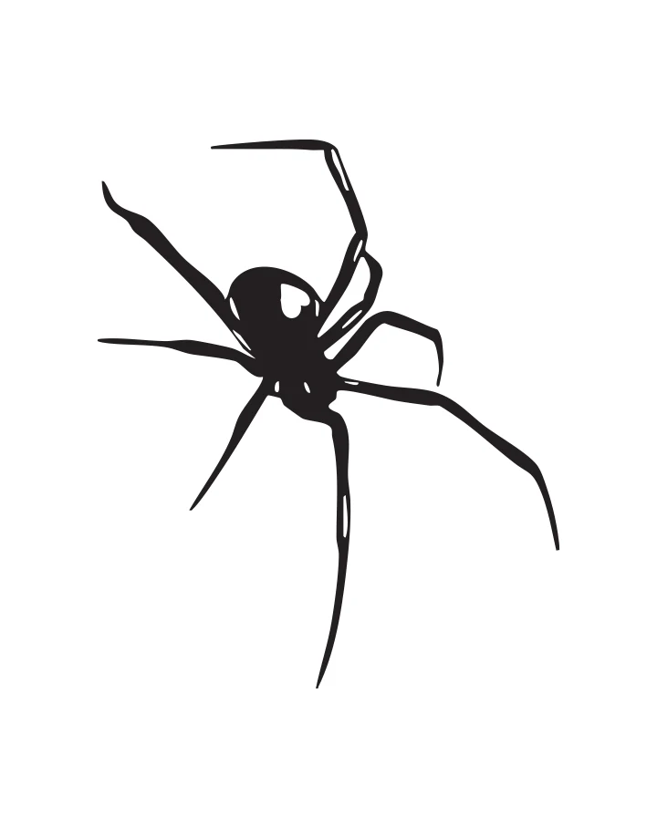 Shadow Spider - Image 20