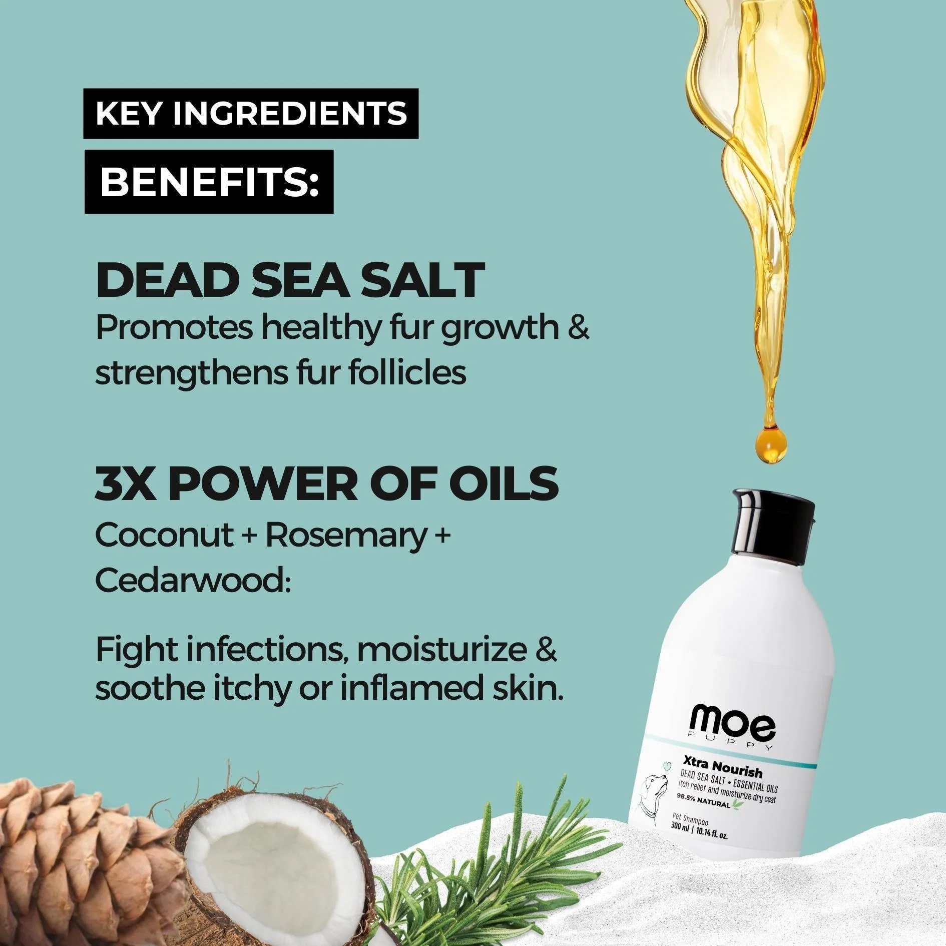 Shampoo+Conditioner & Xtra Nourish Pet Shampoo Combo - Image 4