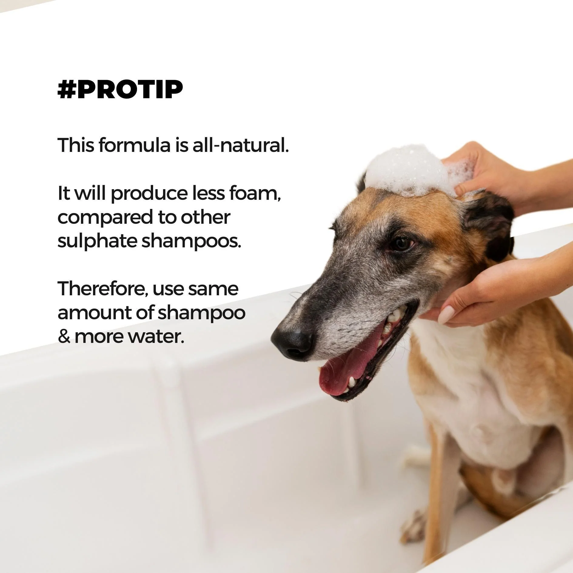 Shampoo+Conditioner & Xtra Nourish Pet Shampoo Combo - Image 8