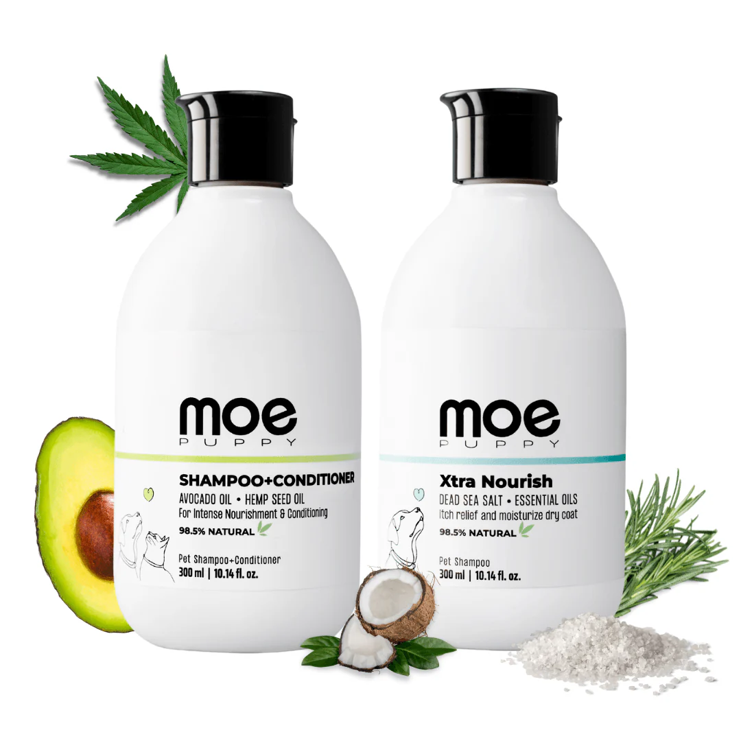 Shampoo+Conditioner & Xtra Nourish Pet Shampoo Combo - Image 9