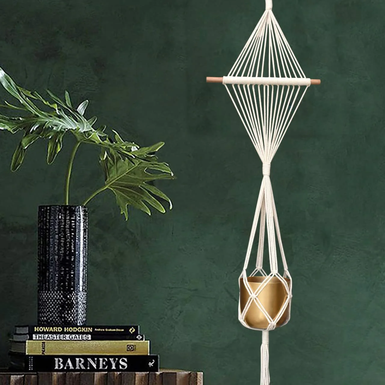 Single Macrame Plant Hanger