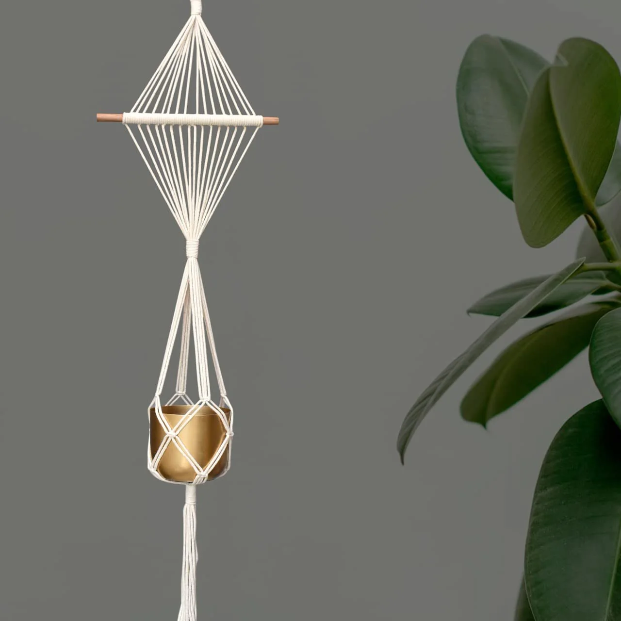 Single Macrame Plant Hanger - Image 2