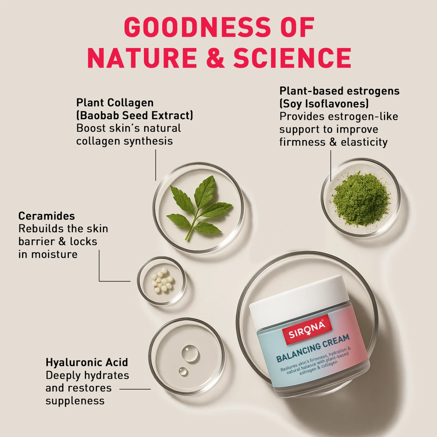 Skin Balancing Cream - Image 5
