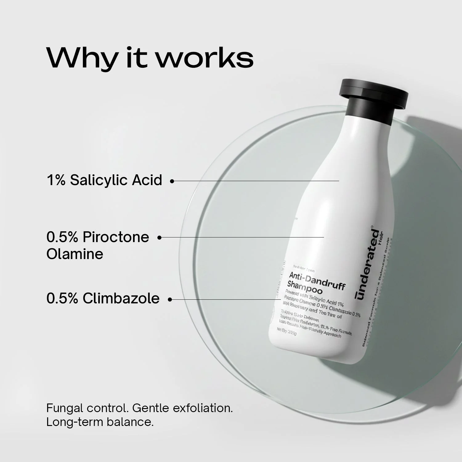 SLS-Free Anti-Dandruff Shampoo - Image 3