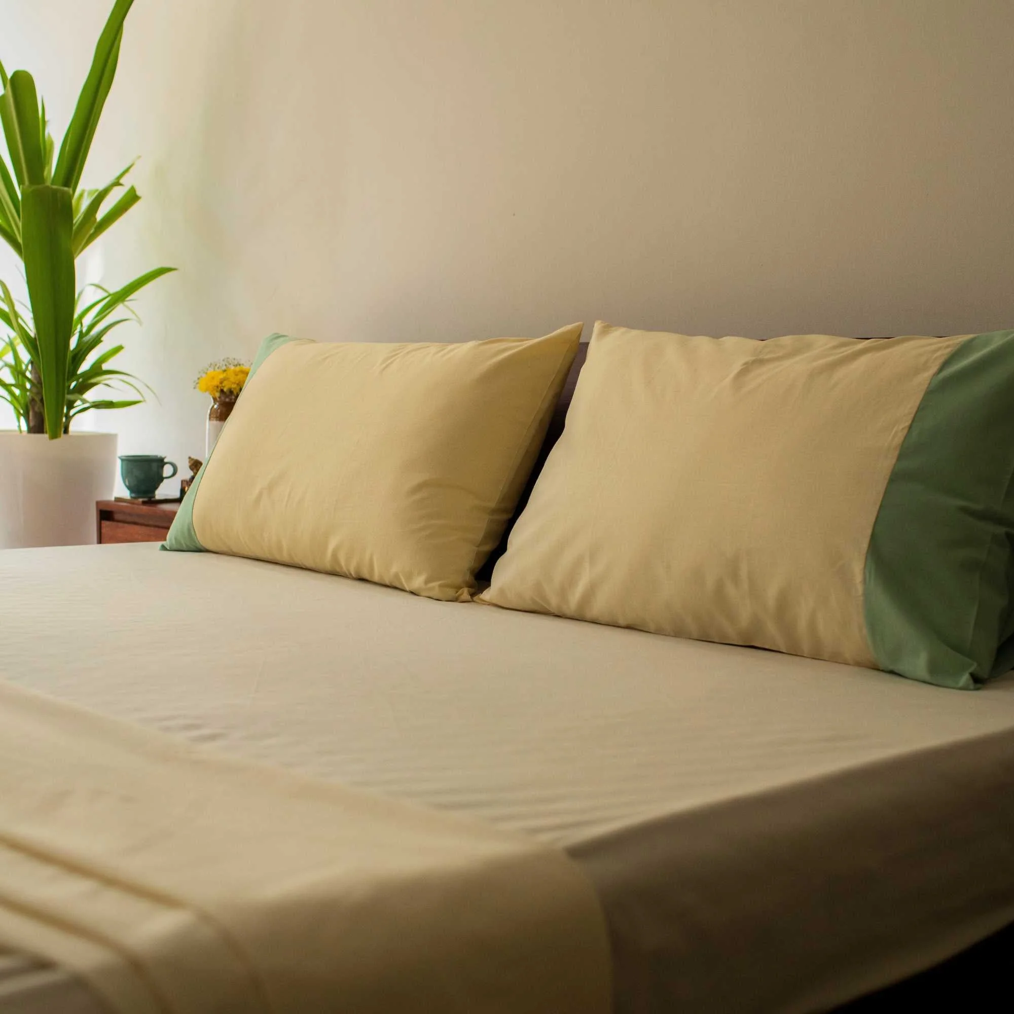 Solid Colour 100% Cotton, 270 Tc Queen Bedsheet With 2 Colour Accent Pillow Cover