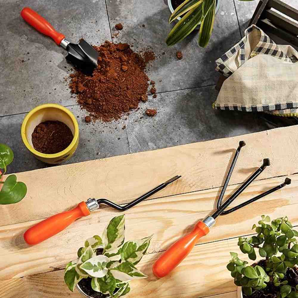 Starter Set Home Garden | Set Of 3 - Image 2