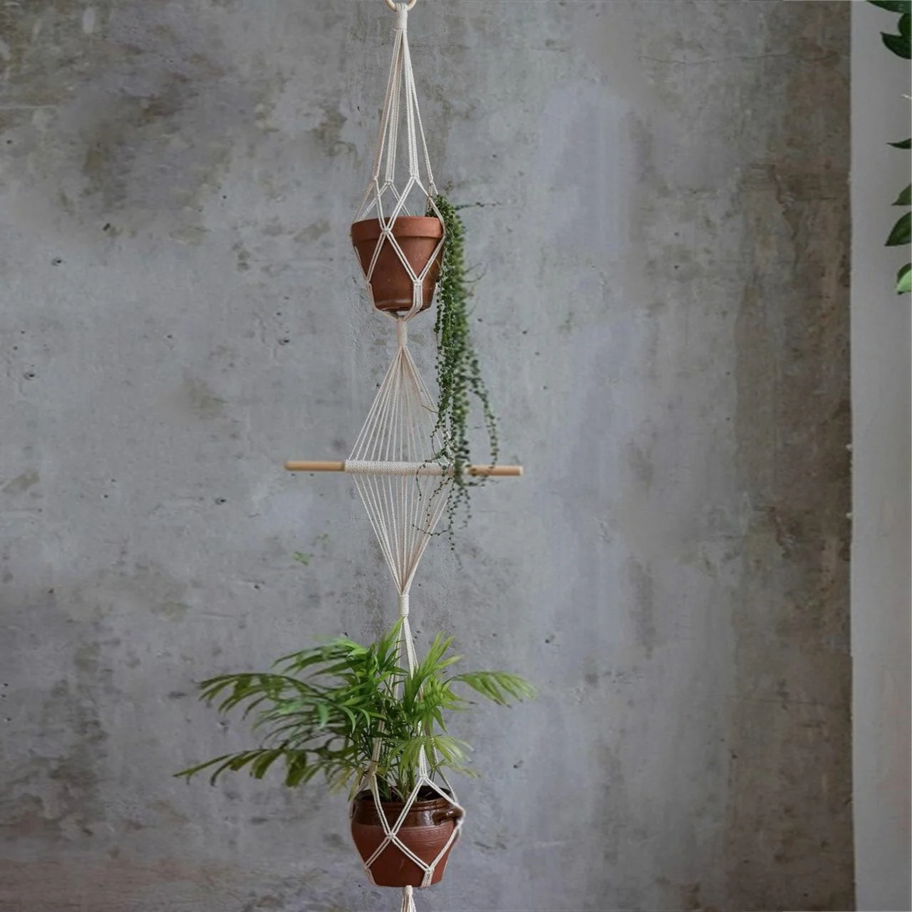 Stylish 2-Tier Macrame Plant Hanger (Set of 3) - Image 4