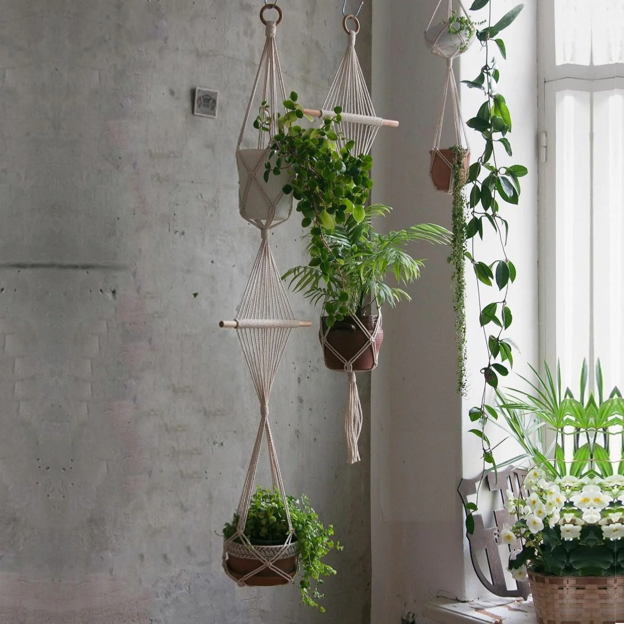 Stylish 2-Tier Macrame Plant Hanger (Set of 3) - Image 6