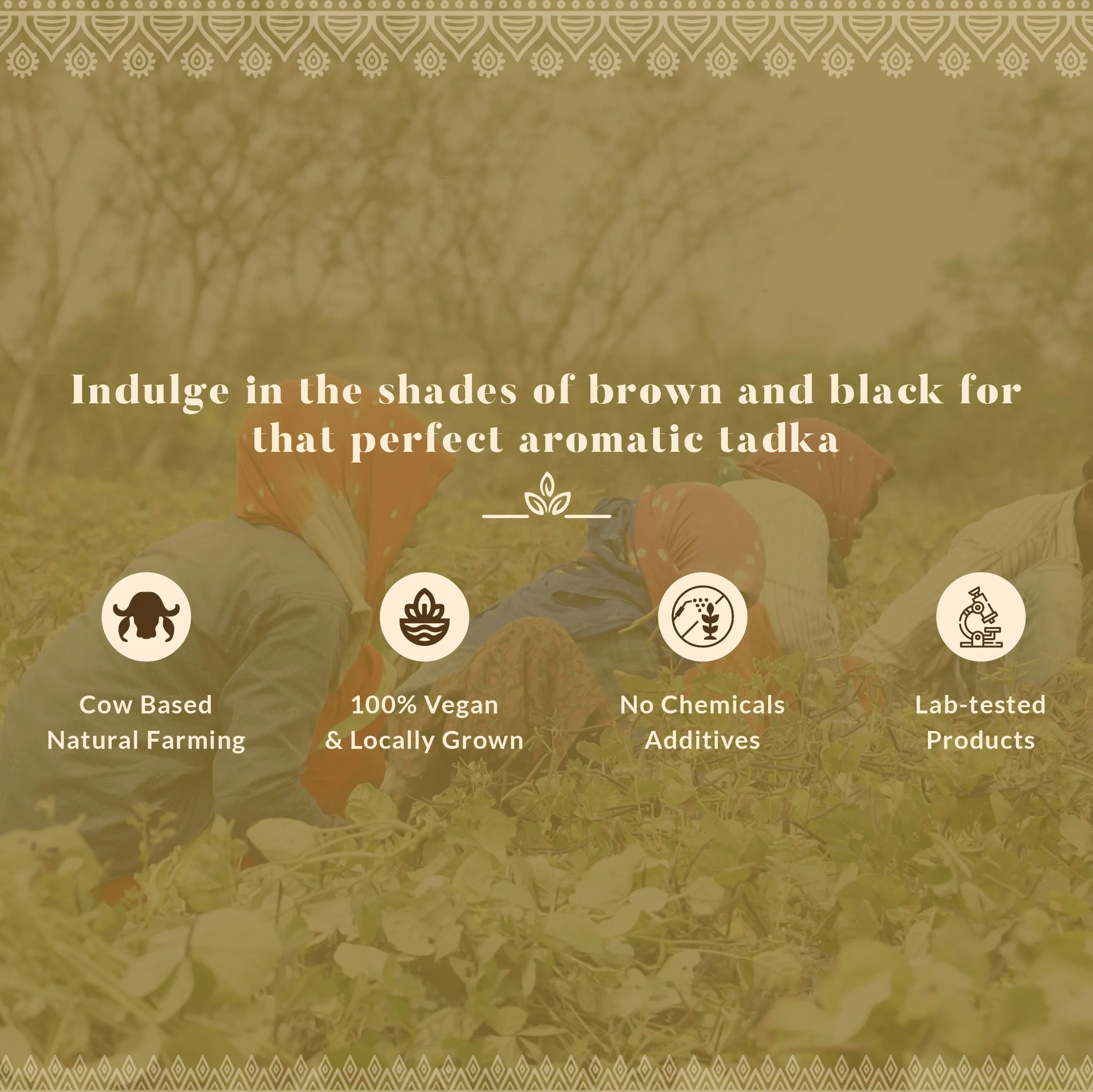 Tadka Duo - Image 7