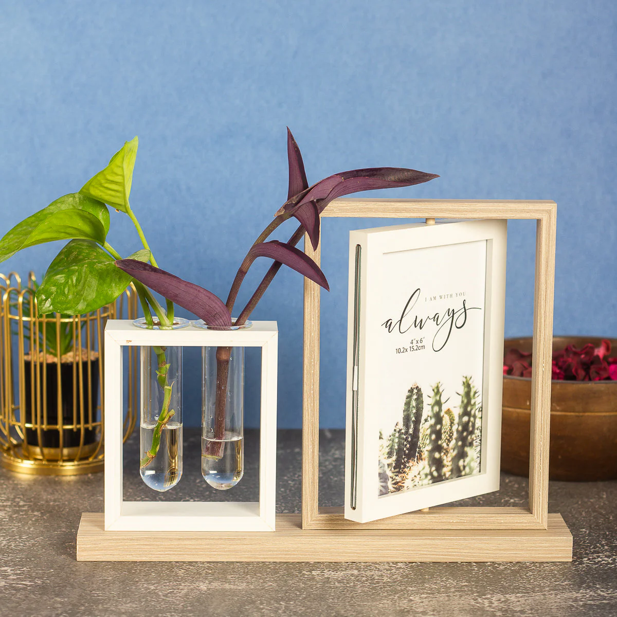 Test tube style Dual photframe- 5x7 inch - Image 3