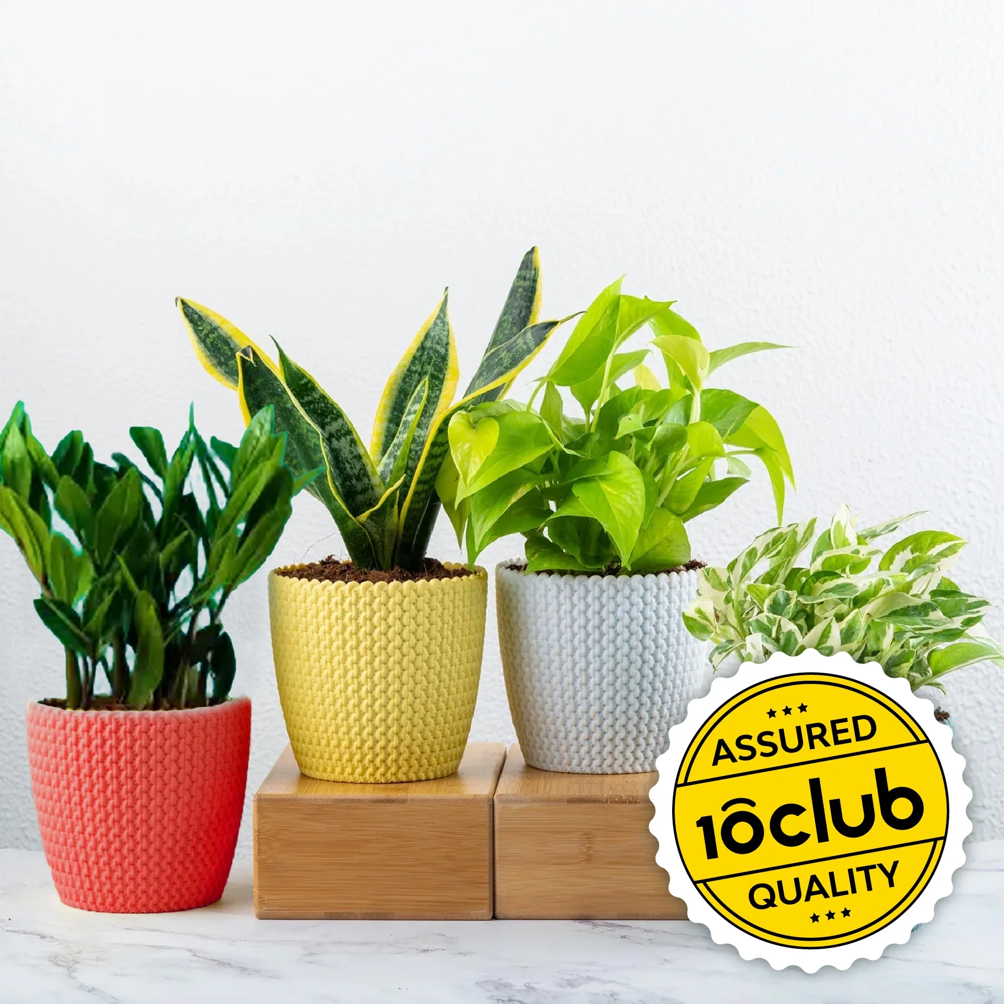 Textured Oval Garden Pots | Set Of 2 - Image 17