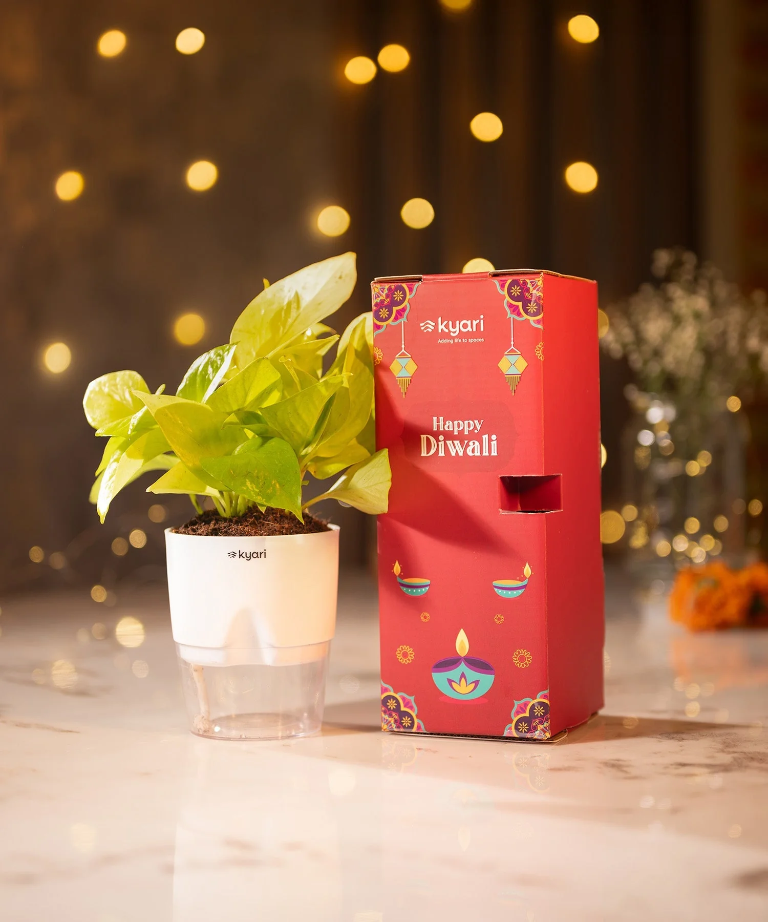 The Radiance Box - Image 2