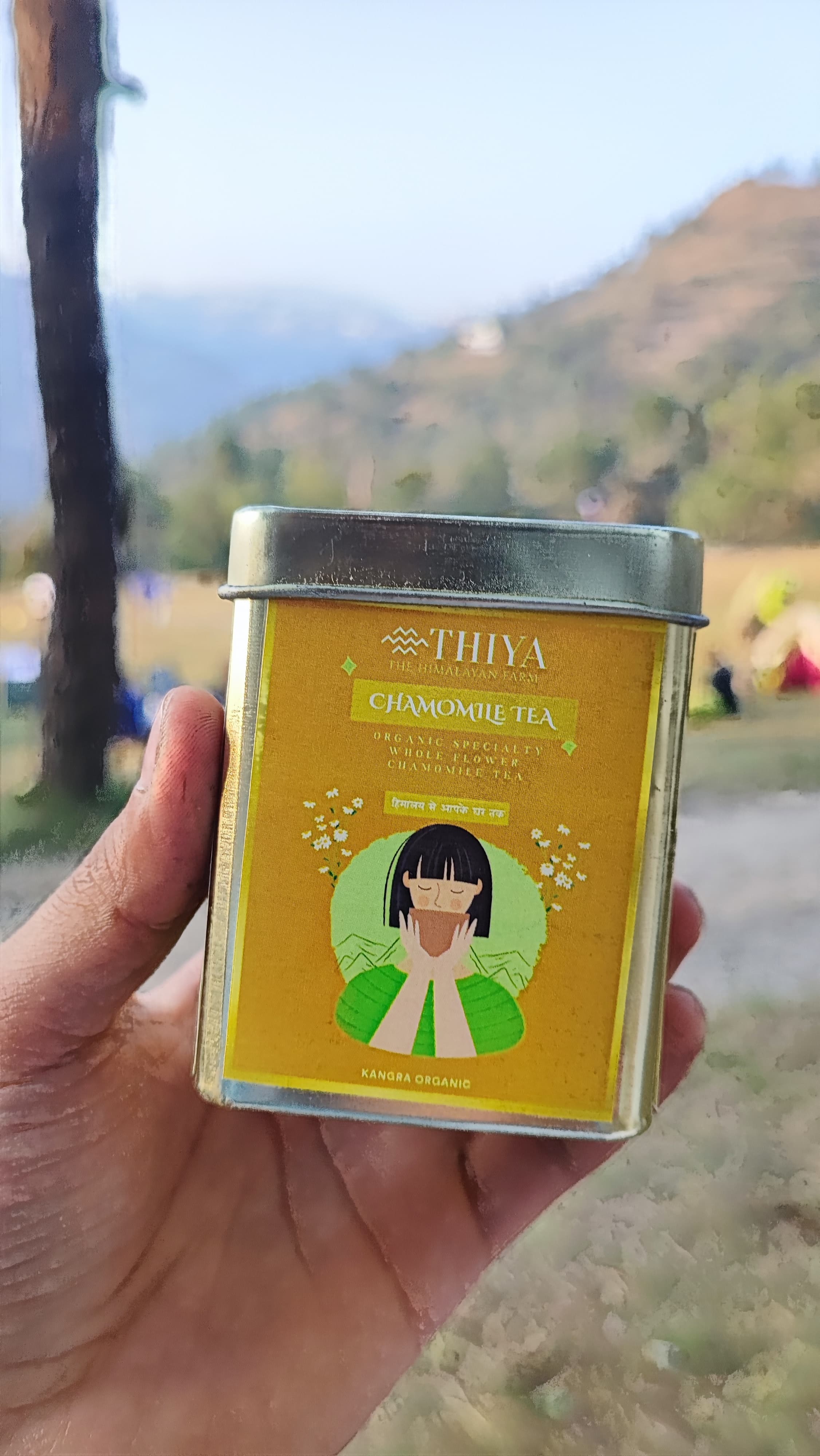 Thiya Chamomile Tea | Uttarakhand's Finest | Chamomile Tea - Image 3
