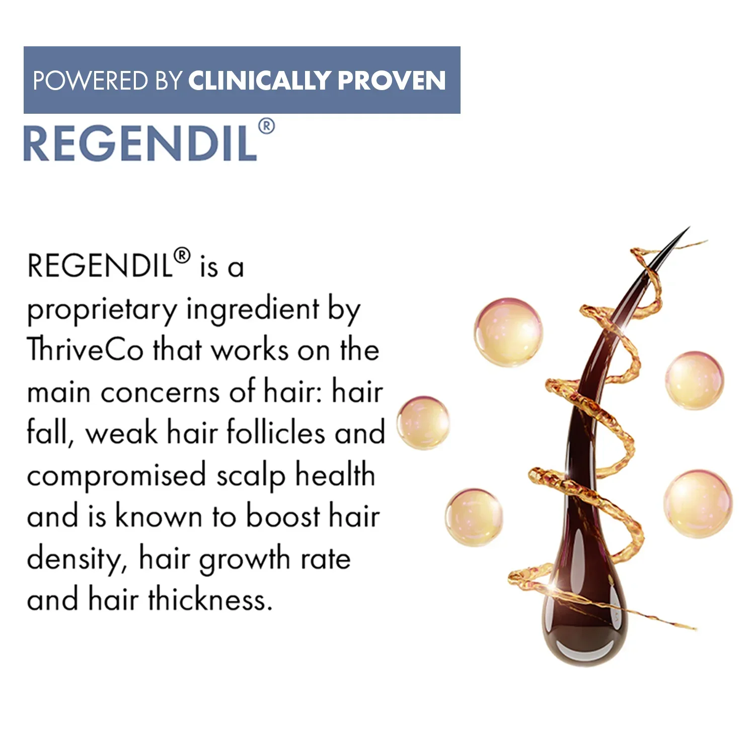 ThriveCo Hair Growth Serum 2.0 For Women | 50ML - Image 5