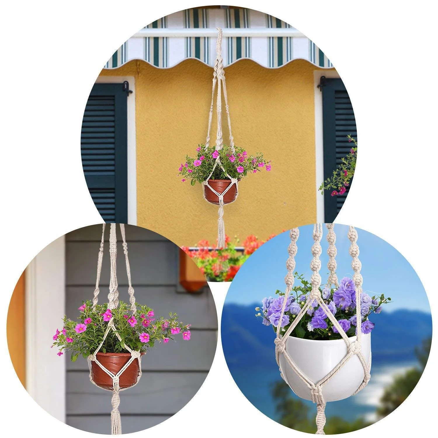 Twisted Macrame Plant Hanger (Set of 5) - Image 6