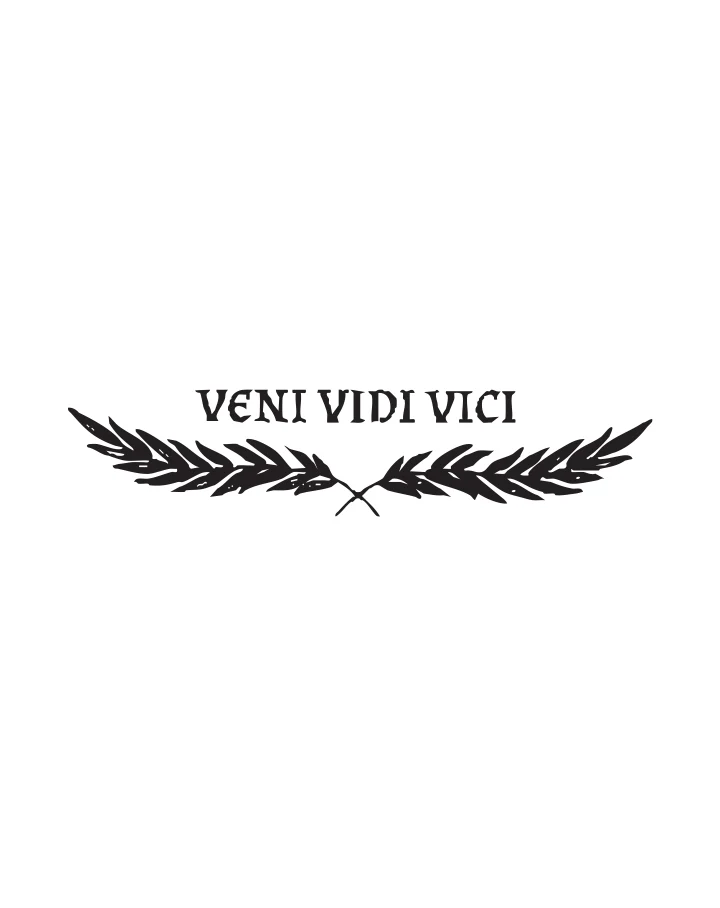 Veni Vidi Vici
